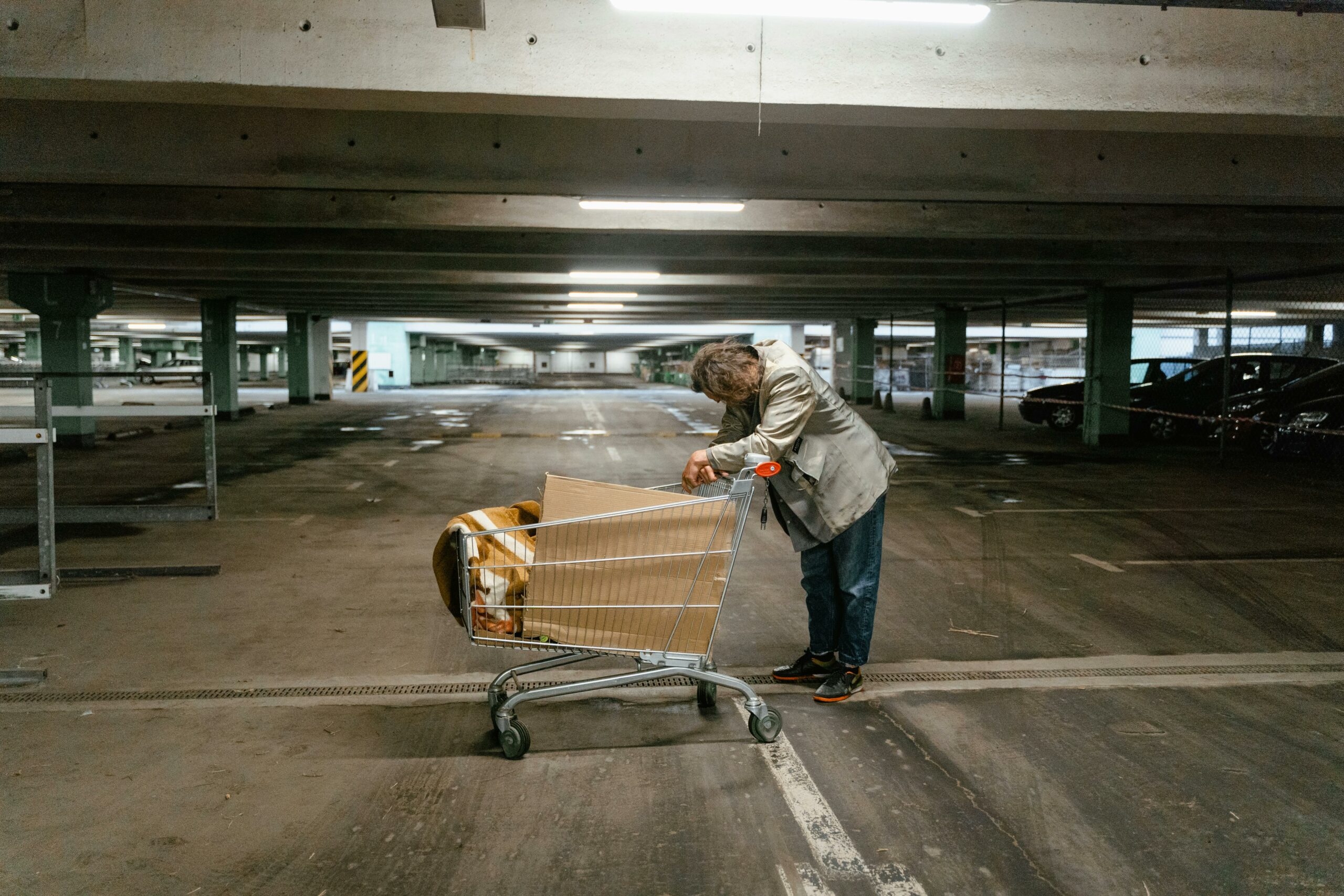 Mental Health Challenges of the Unhoused