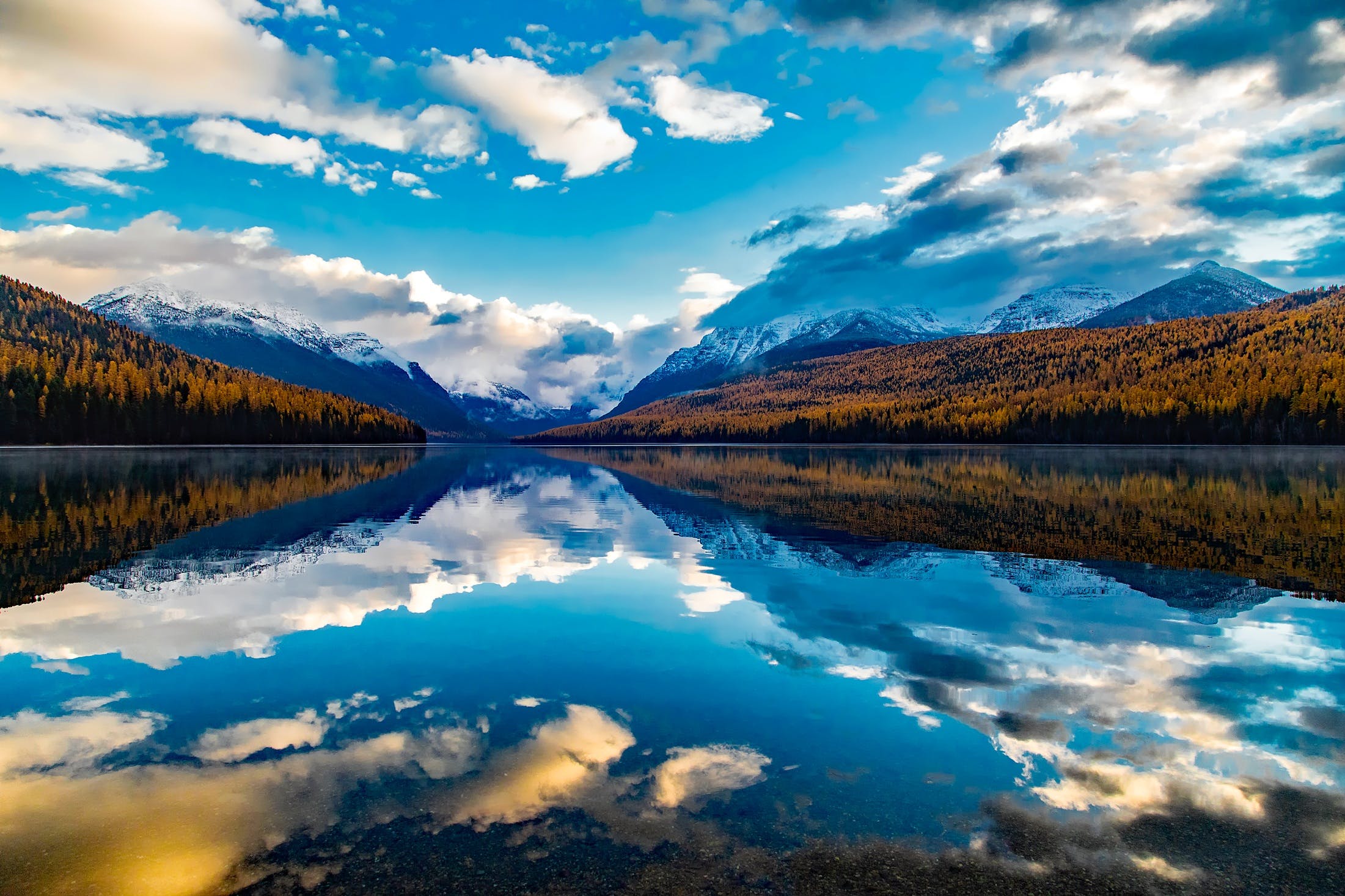 Renew Montana RN License: A Step-by-Step Guide