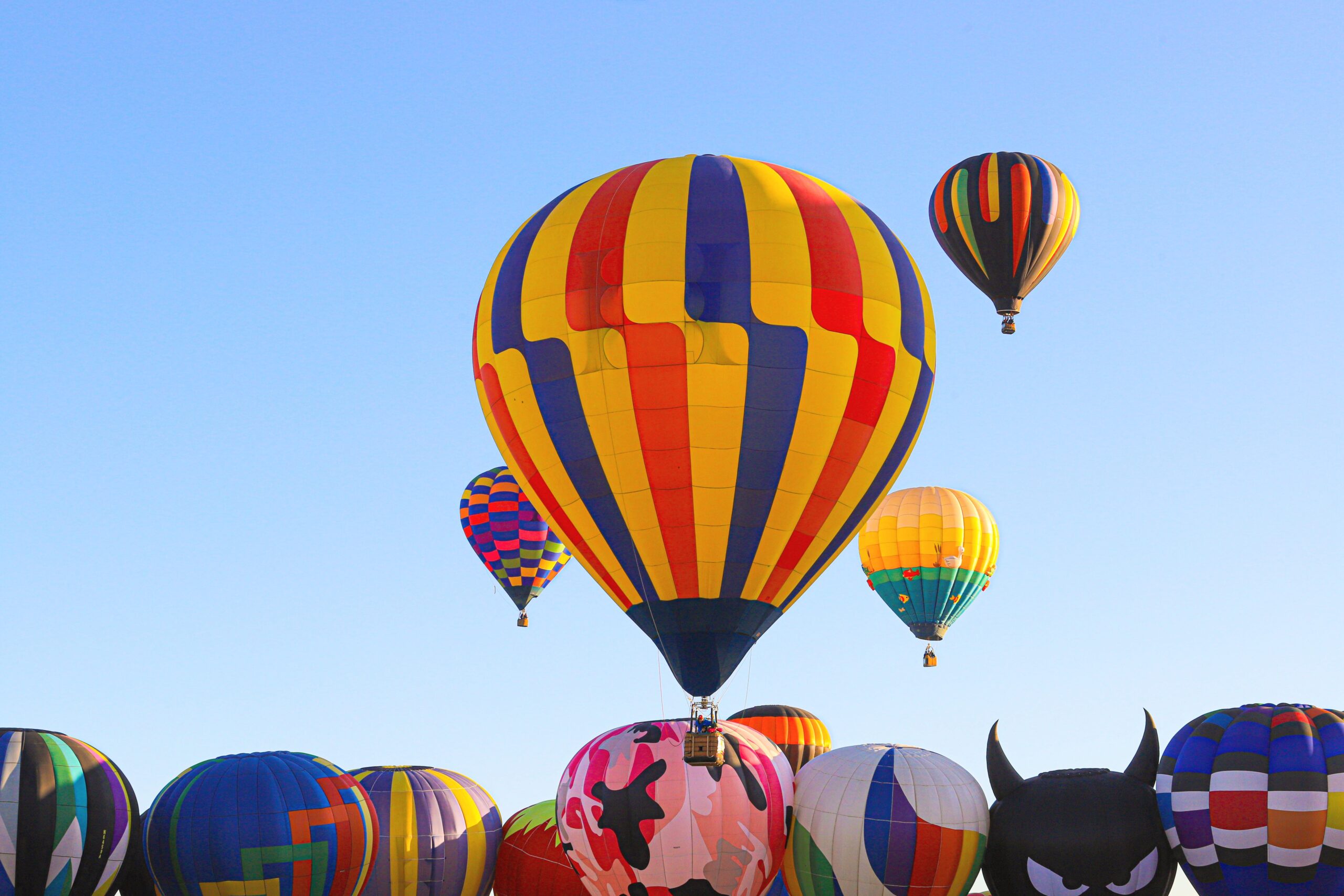 Renew RN License in New Mexico – A Step-By-Step Guide