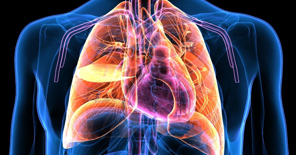 Respiratory Failure and Mechanical Ventilation