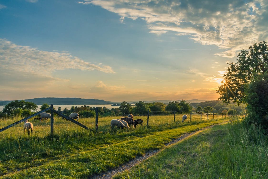The Danger of Rural Hospital Closures