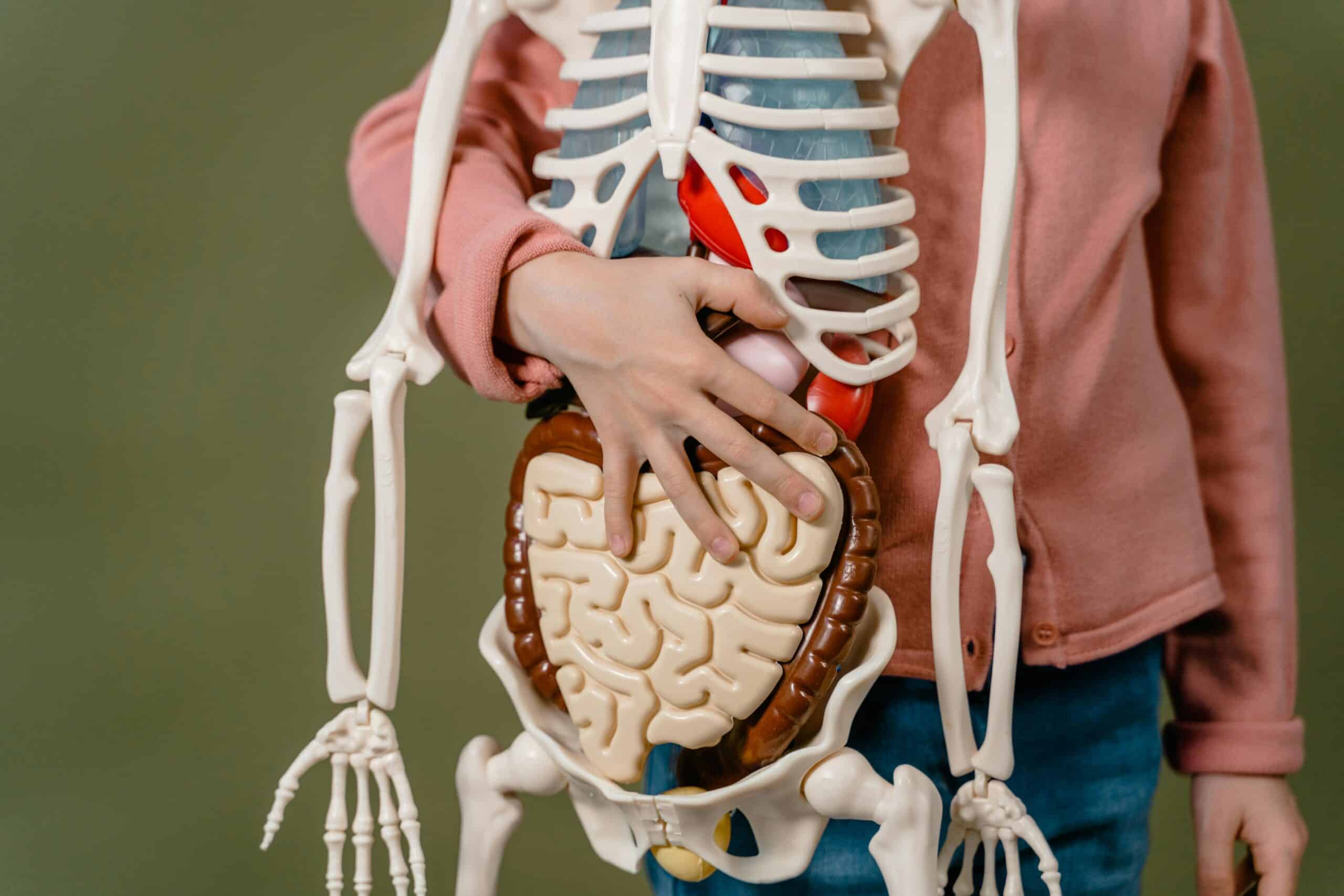 Volvulus