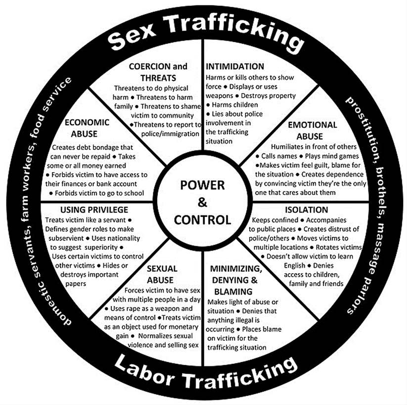 Sex and Labor Trafficking Wheel image