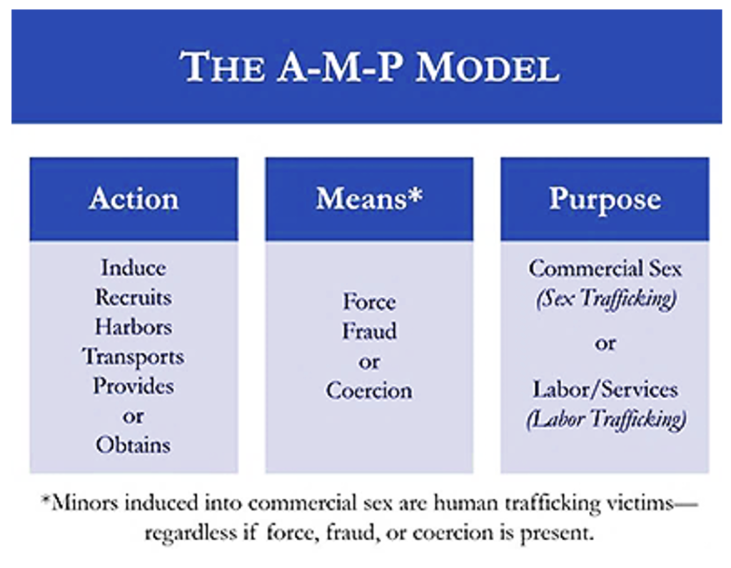 image of the A-M-P Model