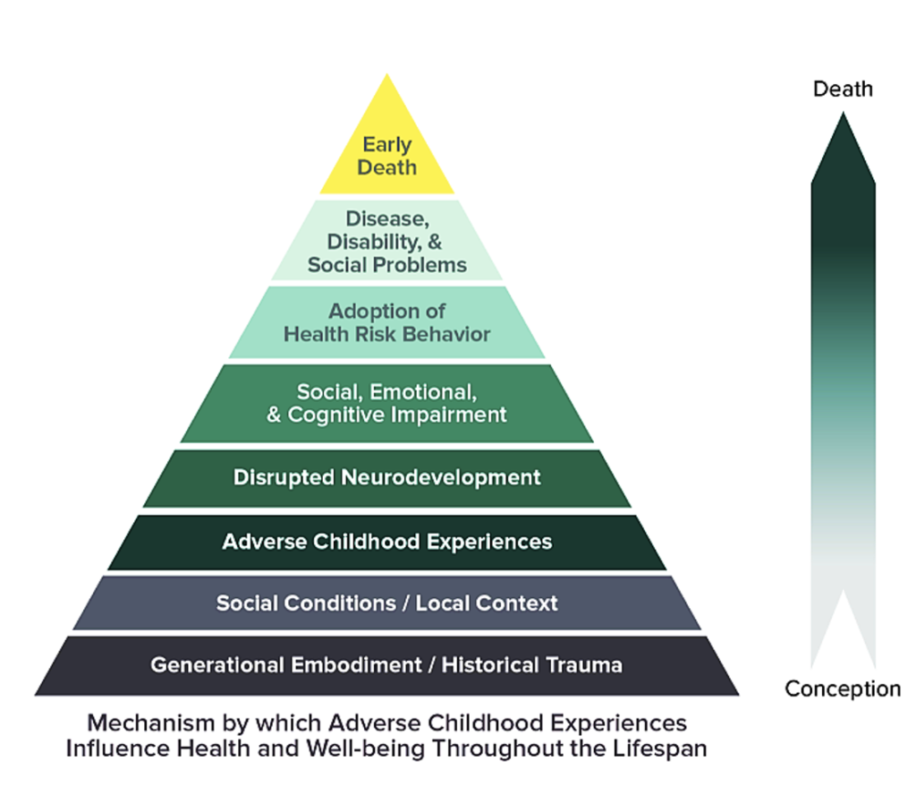 image: Mechanism by which Adverse Childhood Experiences Influence Health and Well-being throughout the Lifespan