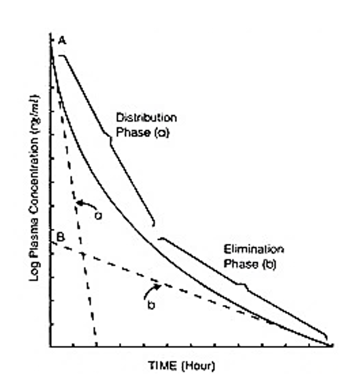 image of the plasma concentration curve