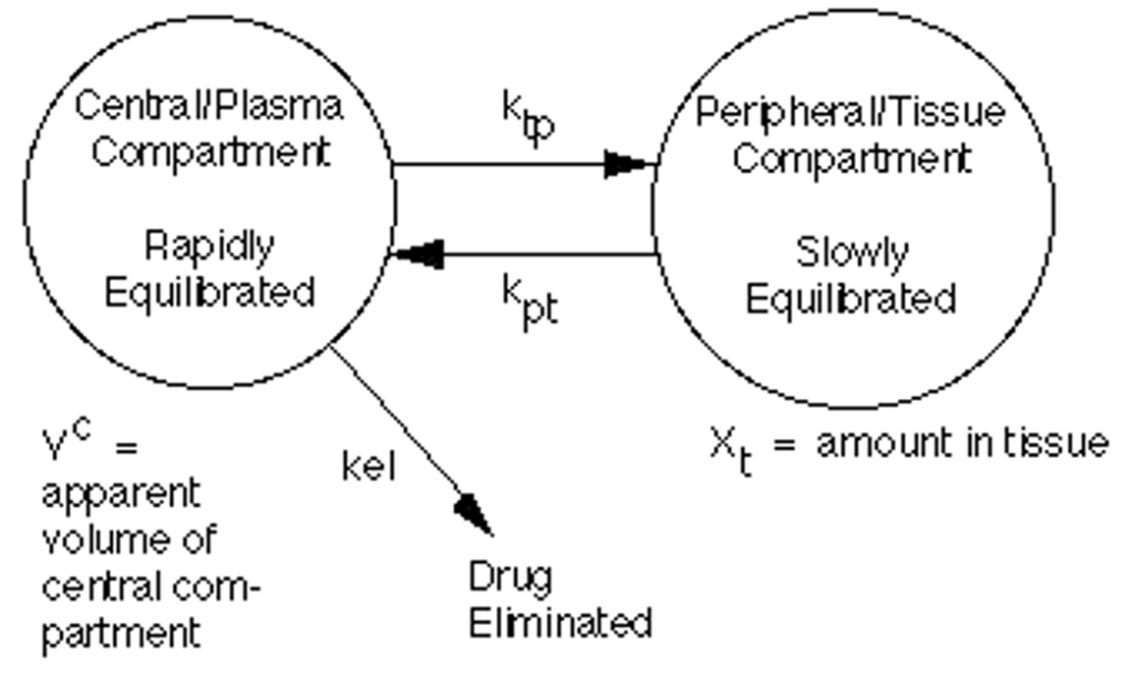 two-compartment model