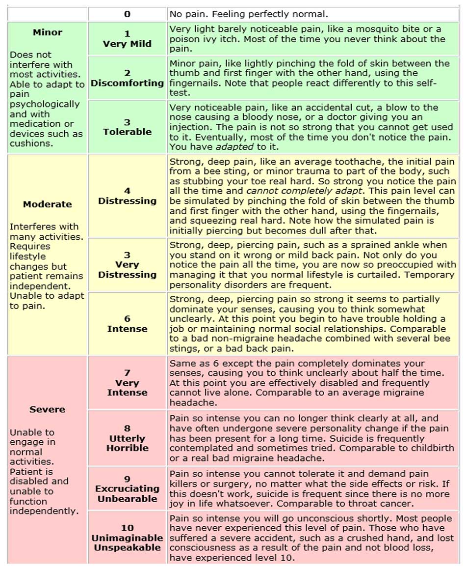 Image of the Stanford Pain Scale