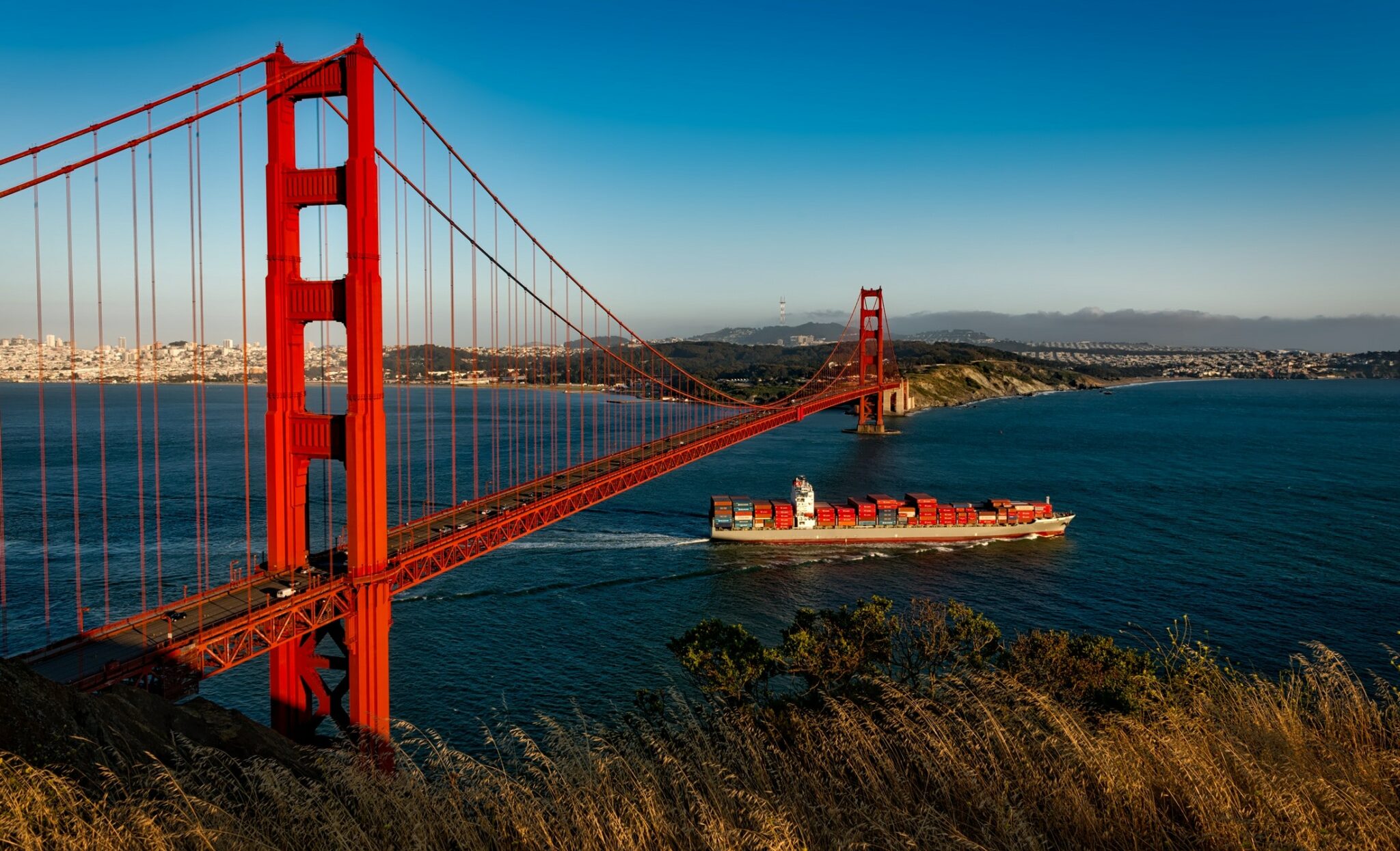 california board of nursing application requirements