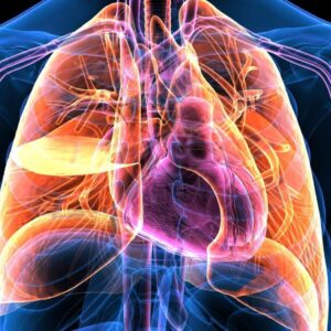 Respiratory Failure and Mechanical Ventilation
