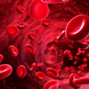 Understanding the Difference Between Anticoagulants and Antiplatelets